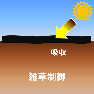 黒マルチの光透過イメージ