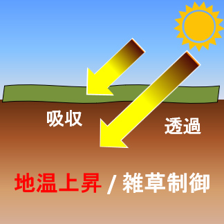 グリーンマルチの光透過イメージ